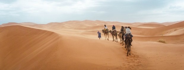 photo-1535191059345-c16453b851b2